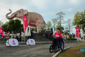 BIB: 
                            <button type="button" onclick="openModal(26529136)" class="btn btn-primary btn-sm float-right btn-popup" data-toggle="modal" data-target=".modal-high-quality">
                        <i class="fas fa-shopping-cart"></i> Add to Cart
                    </button>
                                            <button type="button" onclick="isThisMe(26529136, true)" class="btn btn-success btn-sm float-right btn-popup btn-isme hidden" data-toggle="tooltip" data-placement="bottom" title="นี่คือรูปของคุณใช่ไหม คลิกที่นี่เพื่อเอาเข้าอัลบั้ม">
                        <i class="fas fa-plus"></i> Add to album
                    </button>
                    <button type="button" onclick="isThisMe(26529136, false)" class="btn btn-warning btn-sm float-right btn-popup btn-isnotme hidden">
                        <i class="fas fa-ban"></i> Remove from album
                    </button>